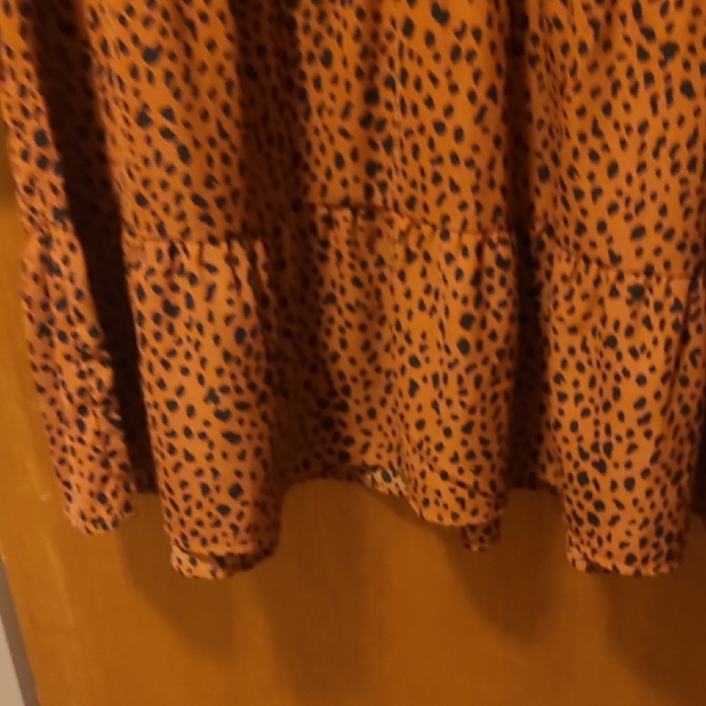Leopard Print Mini Dress - Picture 4 of 5